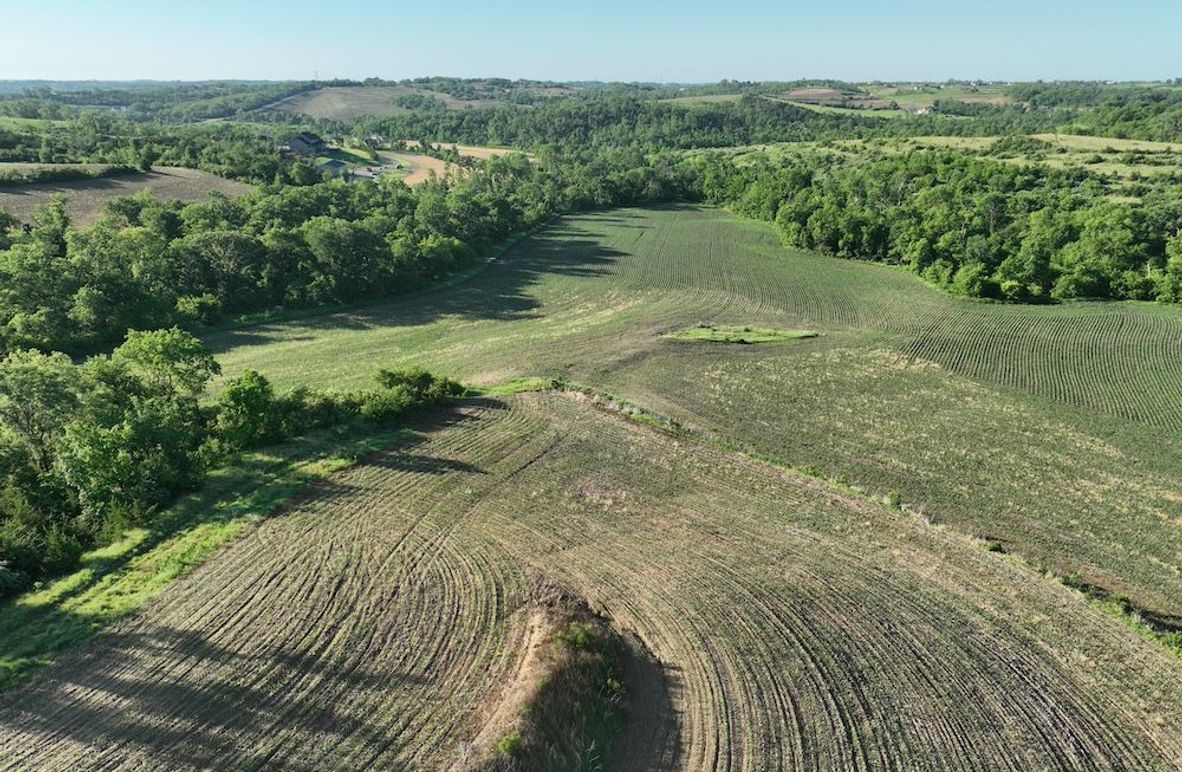 dji_fly_20260601_080418_529_1780319425142_photo