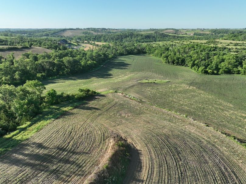 dji_fly_20260601_080418_529_1780319425142_photo
