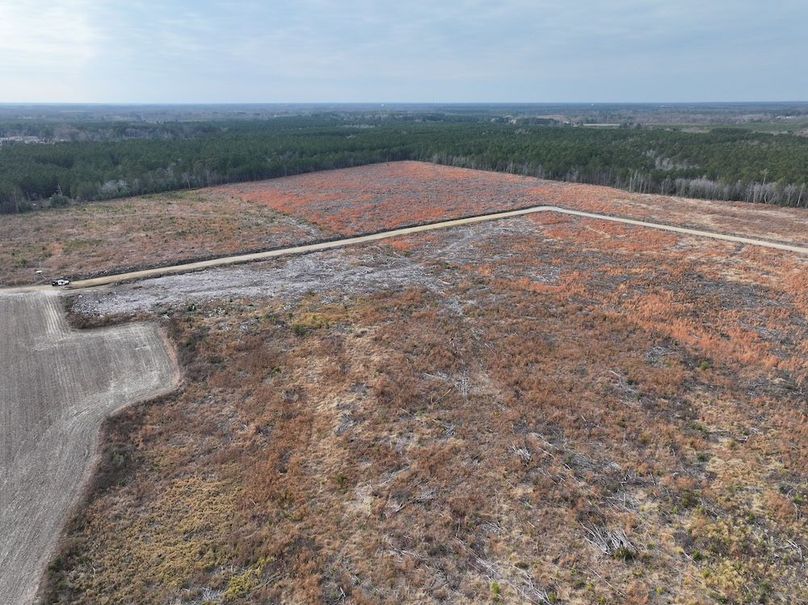 Copy of dji_fly_20251224_150904_0252_1767705632233_photo