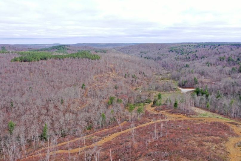 DJI_0456