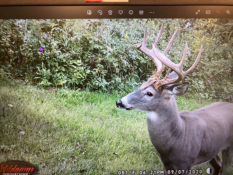 71008655360__D05D92F7-CD07-4C02-AC13-9AC914F50019