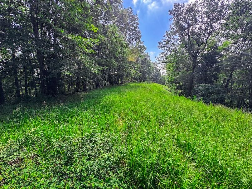 Lewis, WV 105 AC Miller-59