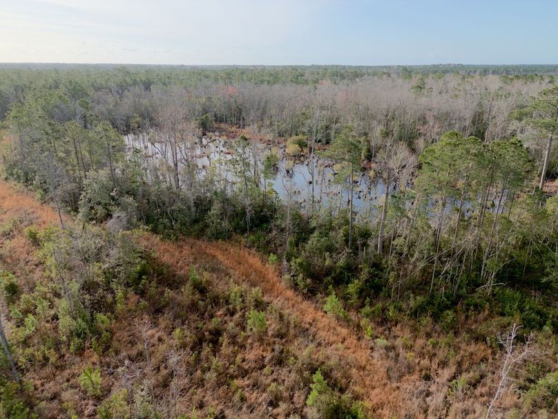 DJI_20240227082527_0008_craven60