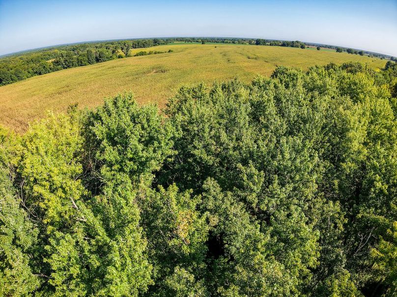 DJI_20250906095741_0051_D