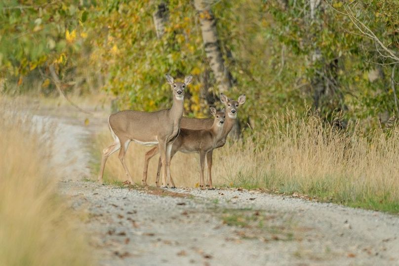 ©7XLandCrewLLC-4431