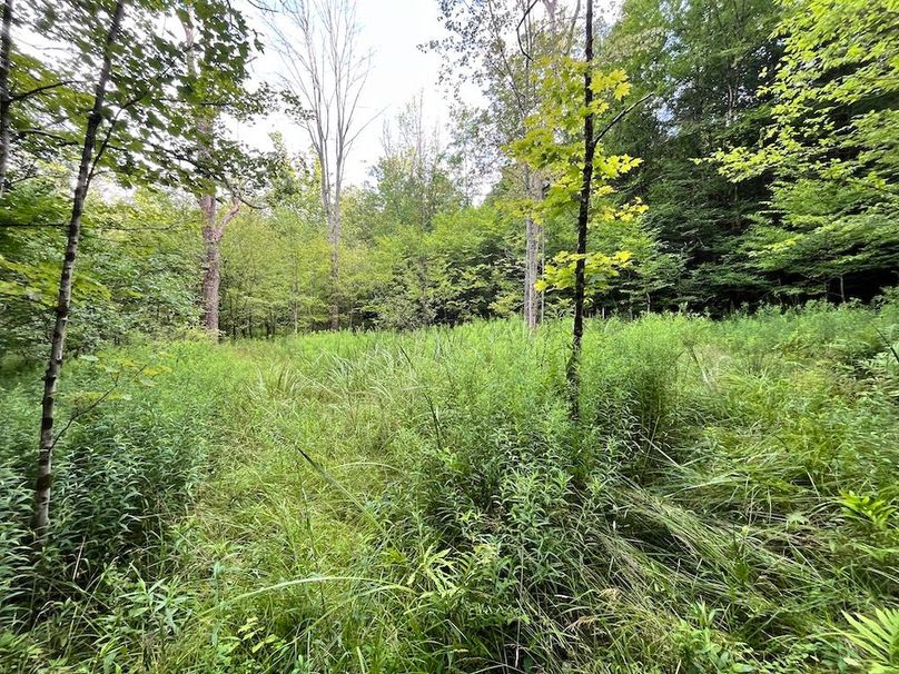 Chemung_78.26+Gutchess_Lumber_Photos_12