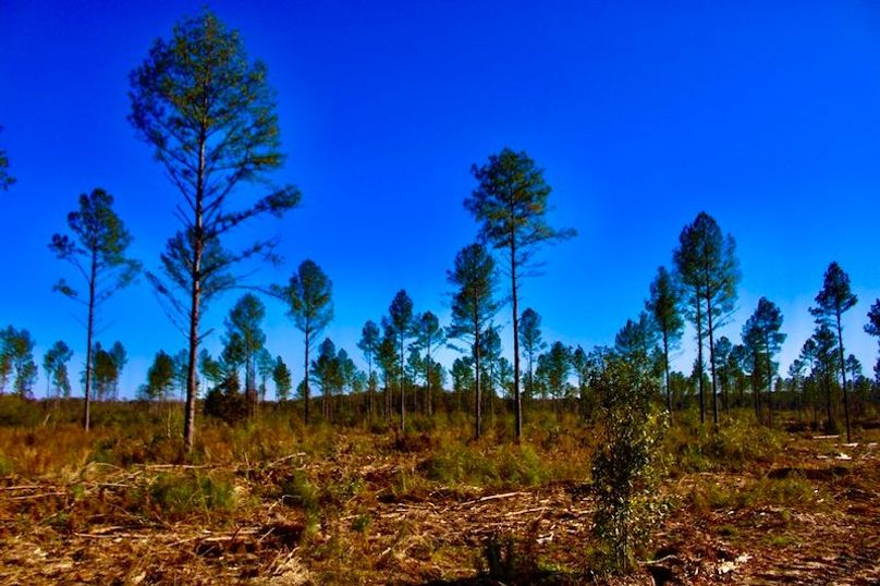 683406D3-C487-4F7A-86A6-907349B02387_1_105_c