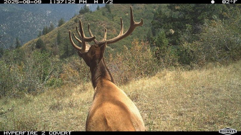 CB822FBF-A87E-4127-A156-920D9111D491