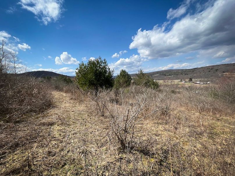 Tioga__NY_109.7_Burris_Photos_83