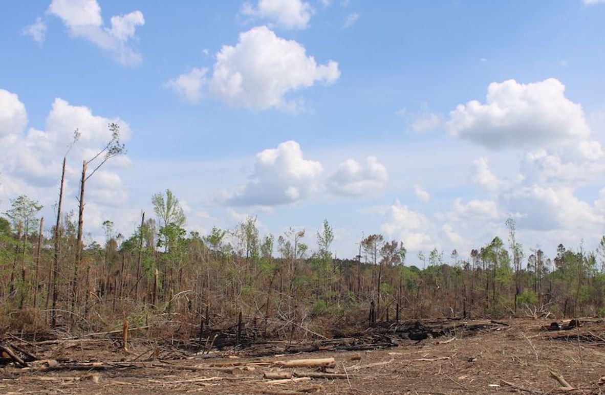 2F8C05CA-3677-4345-AB43-534FA59C3777