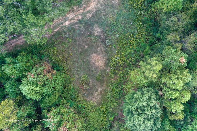 DeSoto 329 Prewett (Thompson) -16