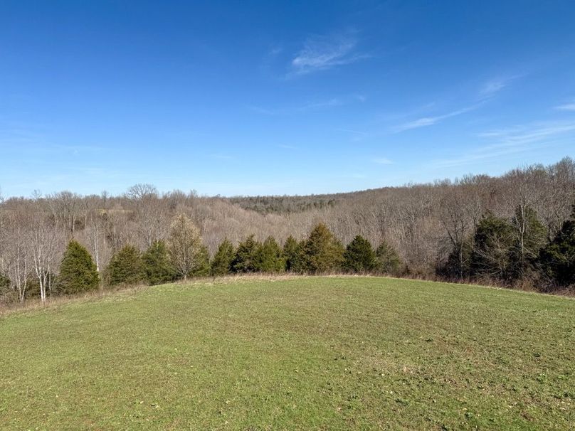 Fleming Petry 120-076