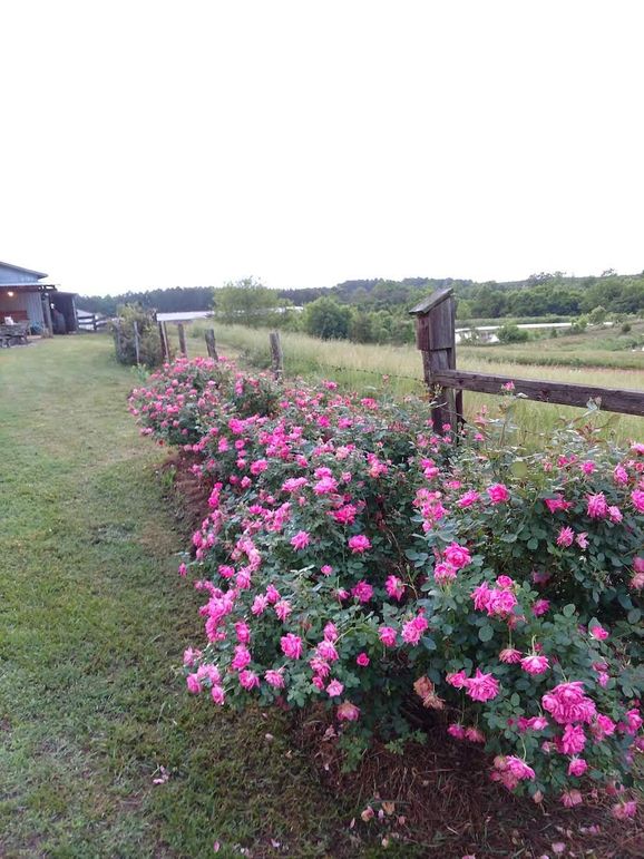 IMG_20180519_201240233