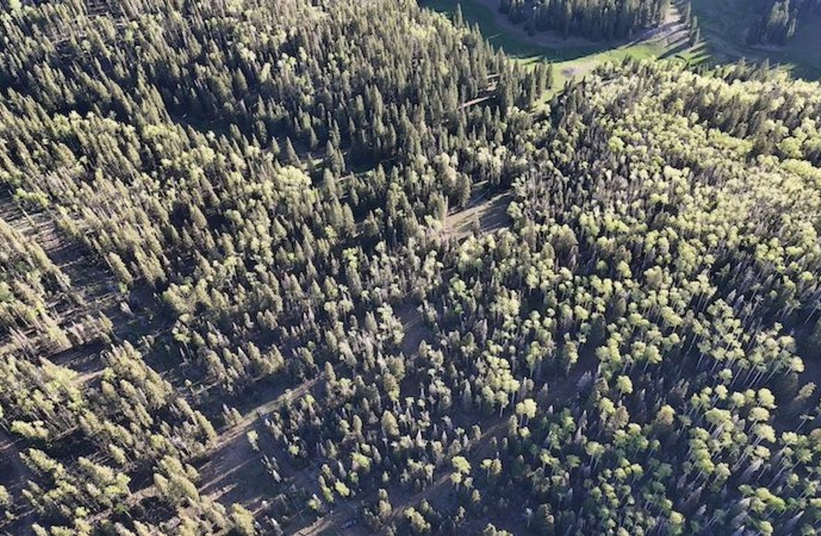 DJI_20250613191001_0006_D