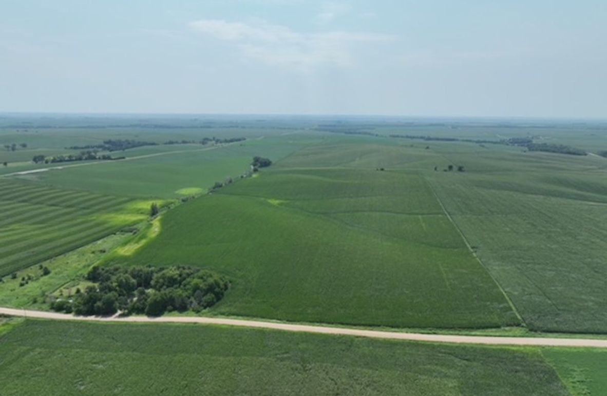 dji_fly_20250805_125016_375_1755697062171_photo