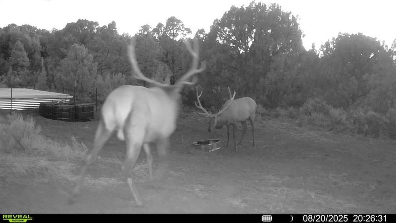 016578004060205-100-3-08202025202631-V-SYFW00021