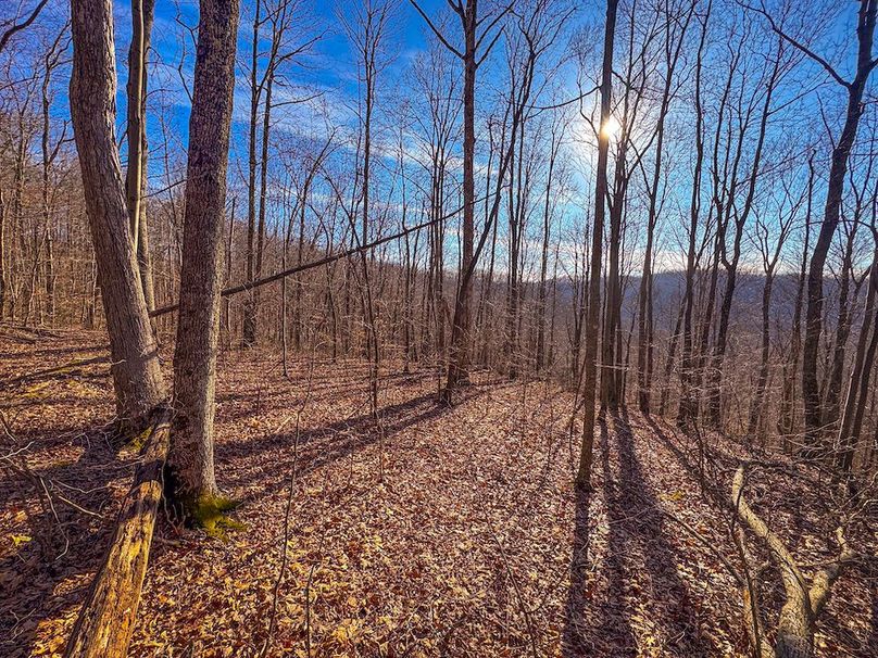 Lewis, WV 82.87 AC Barger-29