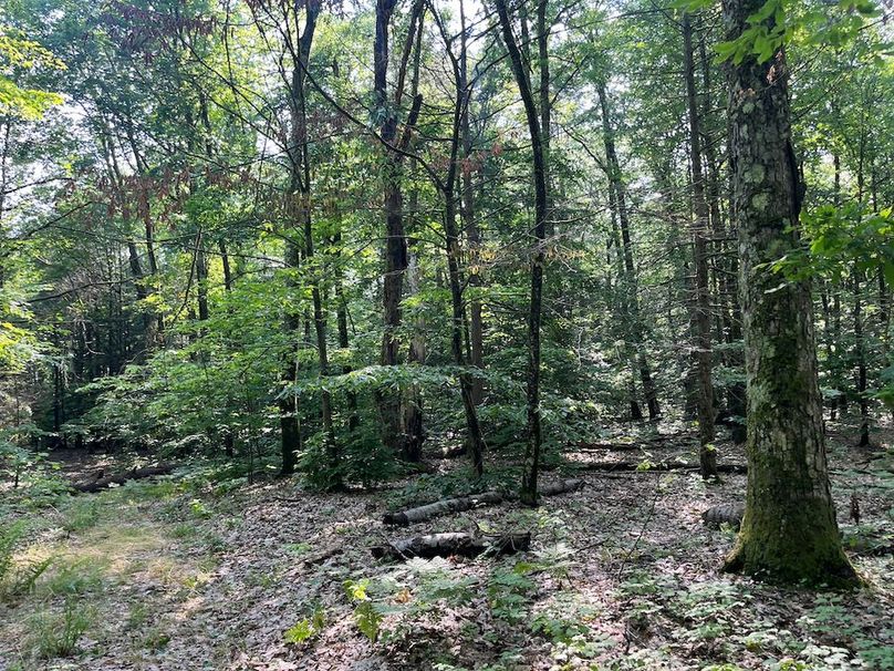 Oswego_22.46-Ross-French_Photos_25