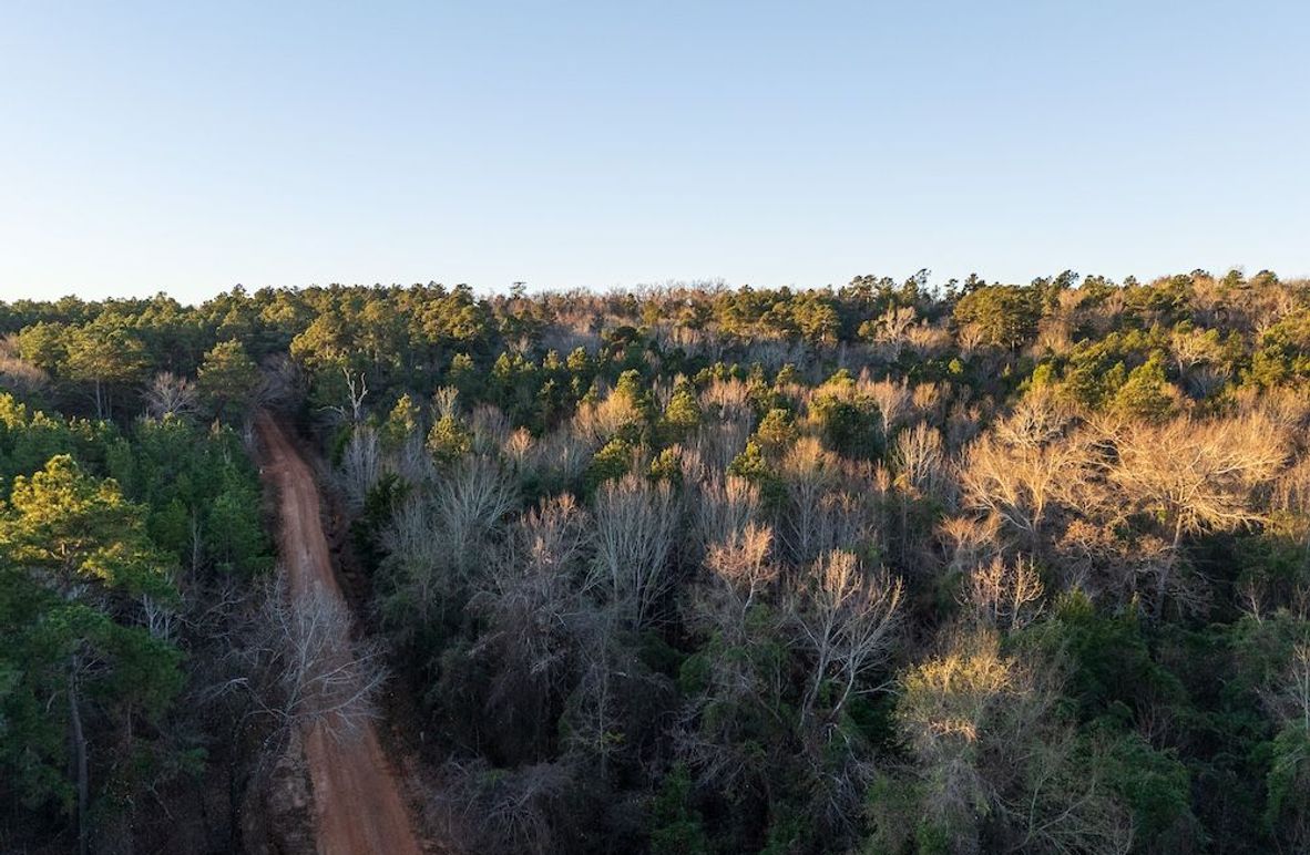 DJI_20260116074853_0002_D