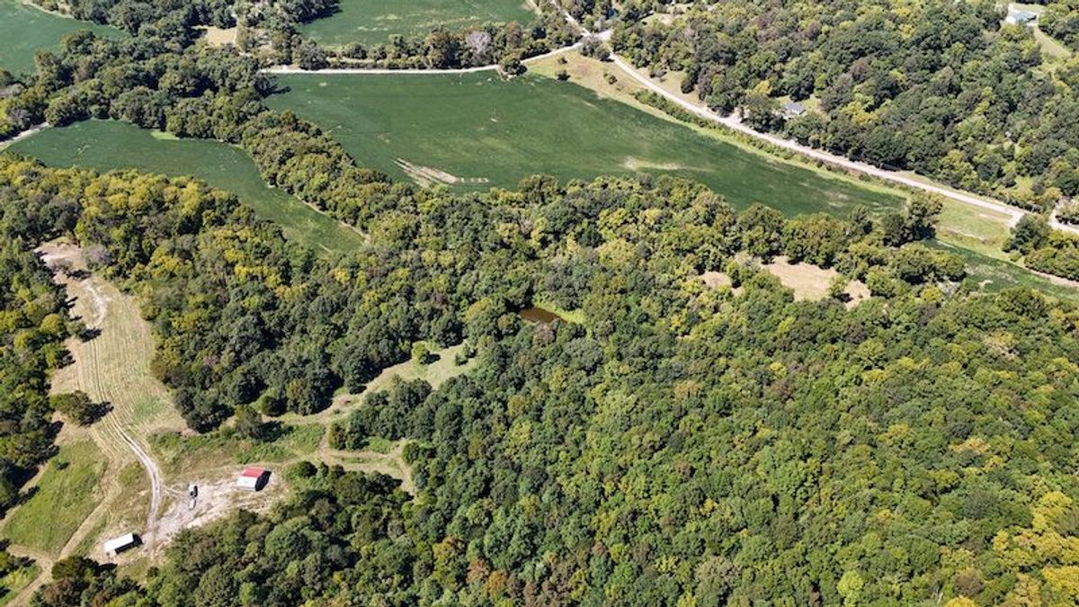 145 Acres Boone County KY Land With Building Sites | Whitetail Properties