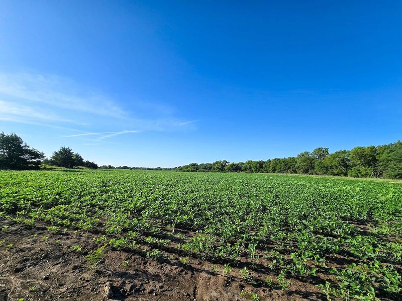 Copy of 20250729_082142