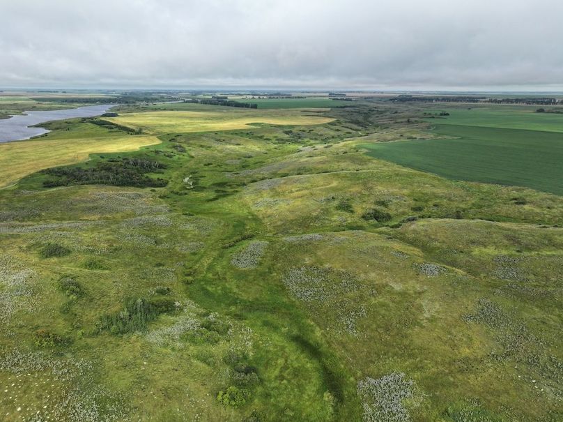 DJI_20250704141304_0629_D