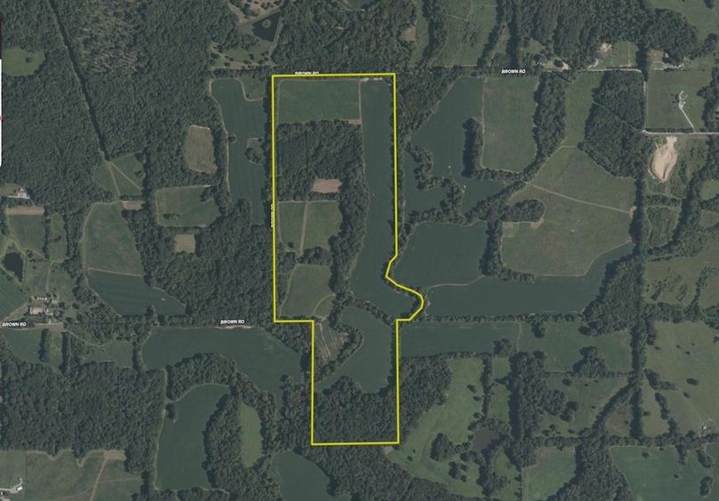 johnson IL 1300.aerial.tract 4 Large