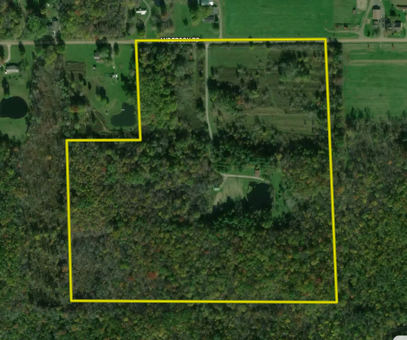 Screenshot 2024-07-16 at 11.08.36 PM