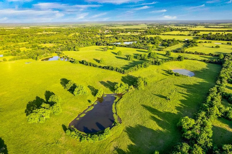 Fannin County- 134.4 acres-16