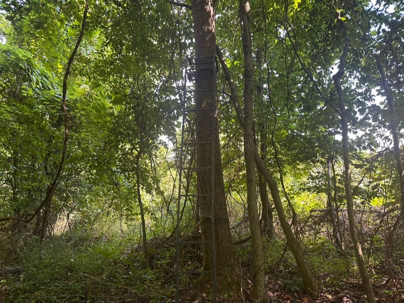 AED5BD56-9538-4B84-9C75-5565A2017082_1_105_c