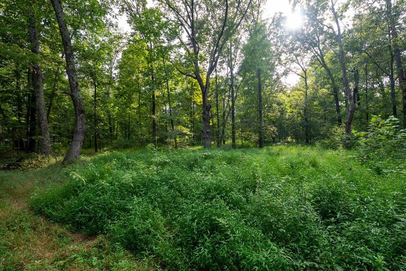 Copy of DSC06227 Large