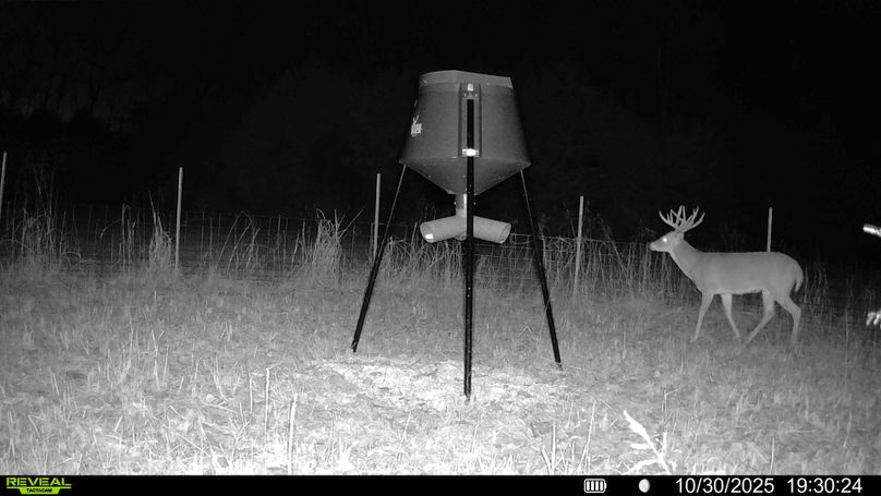 016687000322244-95-3-10302025200419-HD-SYFW03513