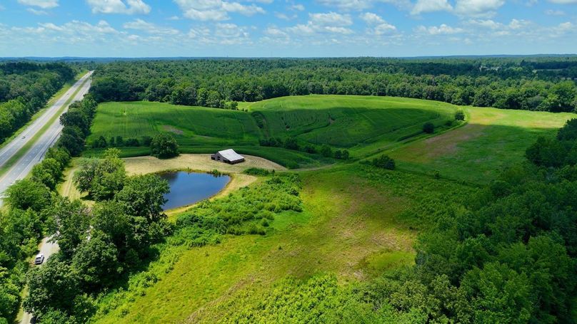 Sequence 10.00_02_31_06.Still010