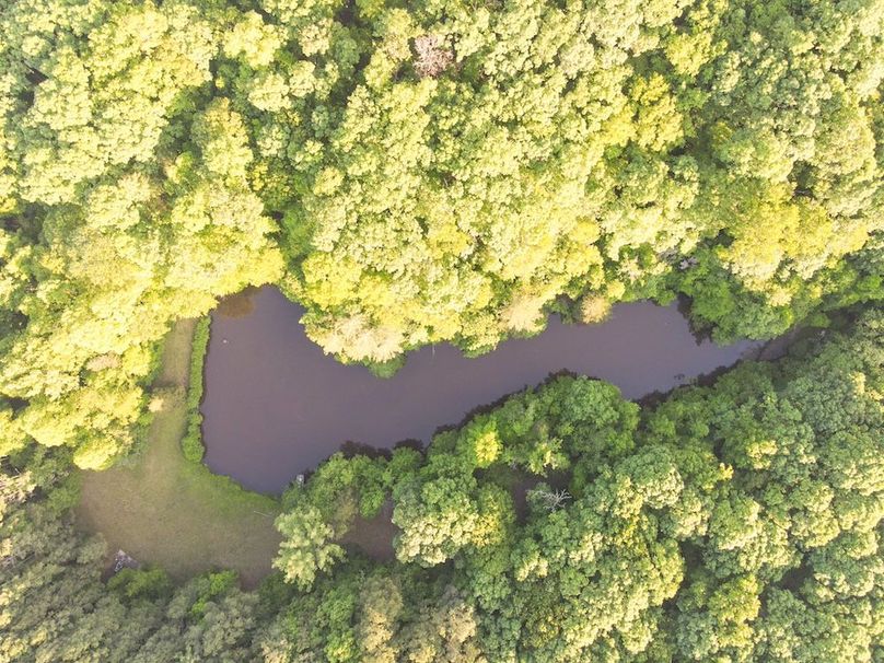 DJI_0535