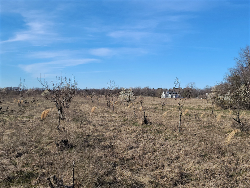 50.38ac_BethlehemRd_Caroline_Pic027