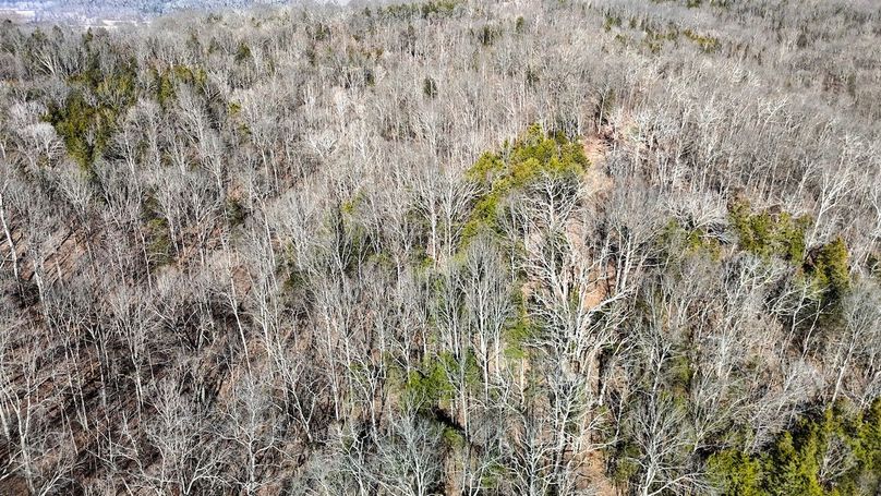 DJI_20260122123709_0019_D