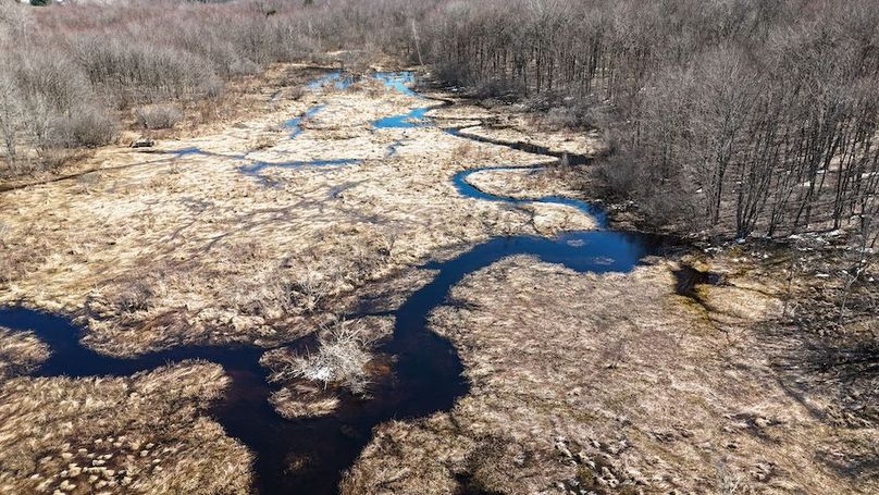 Oswego_8_Cannade_Photos_34