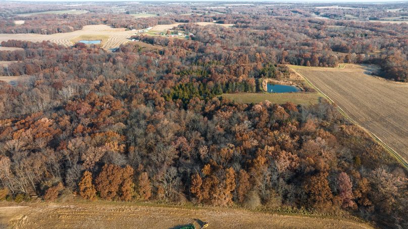DJI_0175-HDR