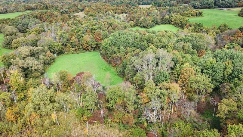 Cayuga_55.02_Herman Photo 45