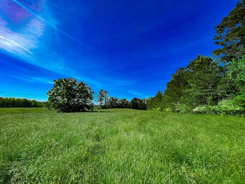 Haralson GA 100 McIntyre-04