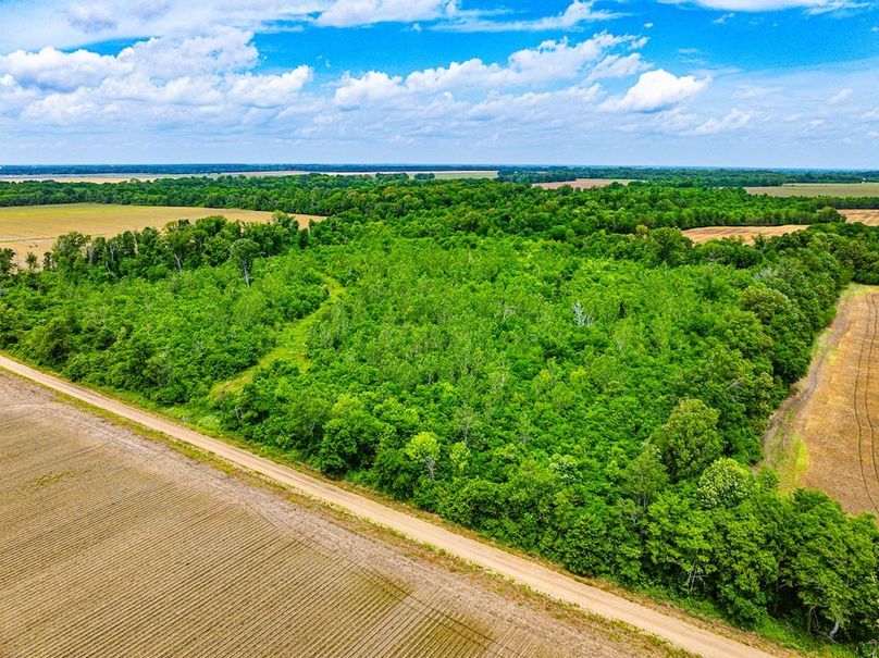 Copy of Noxubee 70 +- Tract 3-04