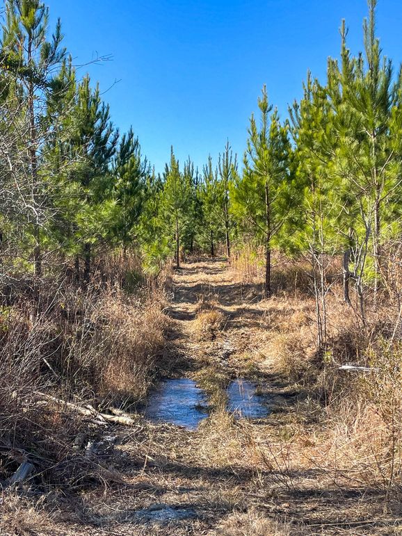 Pender NC 382 - Edits-31