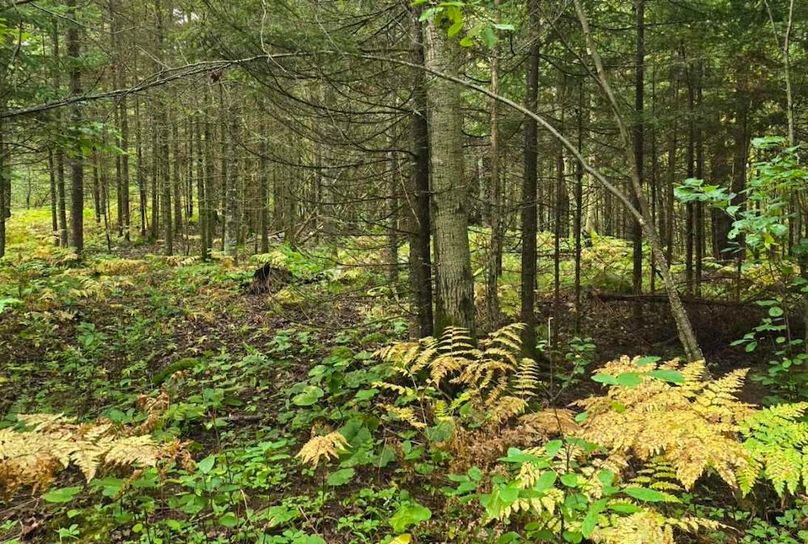 Resized_20250915_093045-1