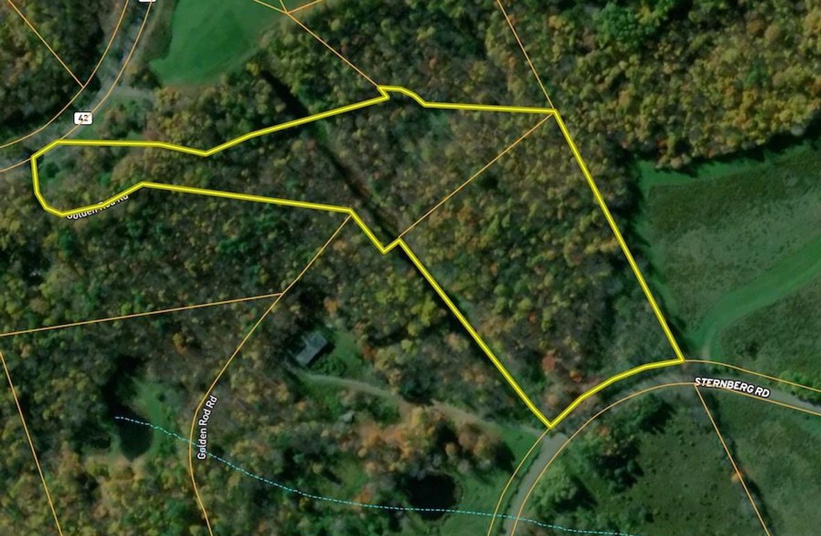 Schoharie Co 9.4 Macallister Water features