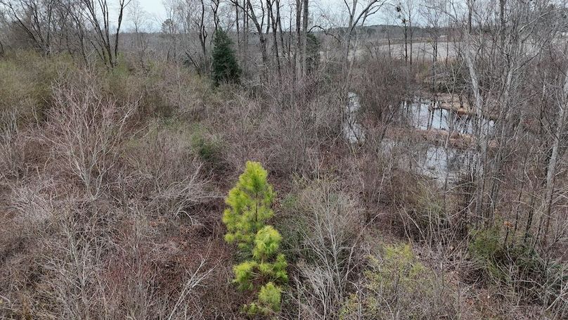 dji_fly_20260218_164820_0044_1771452051880_photo