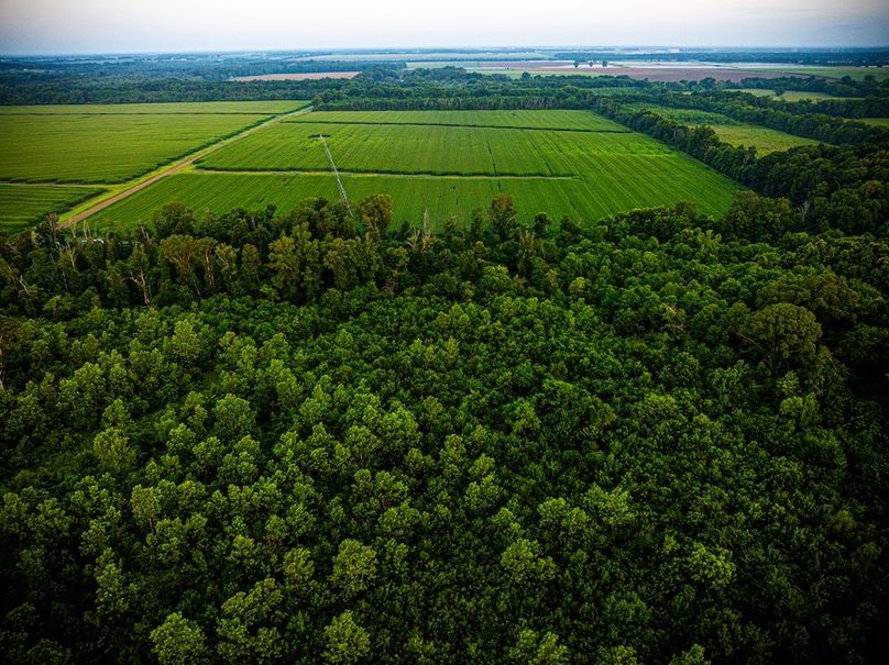 Copy of Noxubee 70 +- Tract 3-15