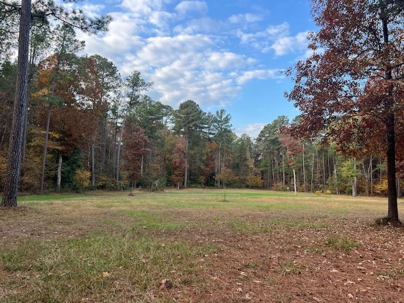 Dal_40_Denton20251117_0354