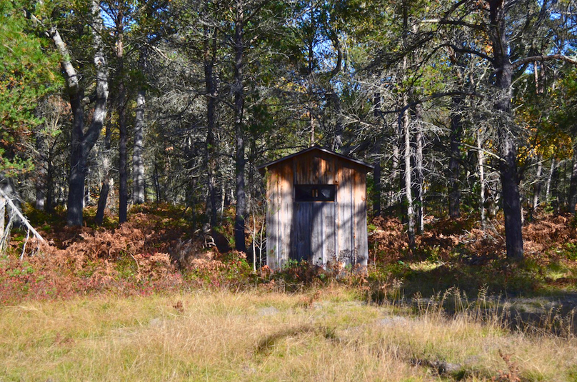 Screenshot 2025-11-14 at 11.15.25 AM