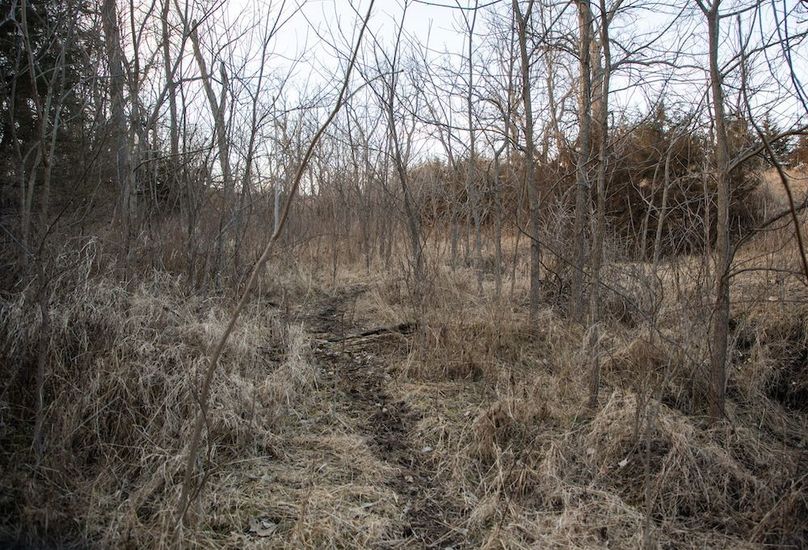 MONTGOMERY CO IA 156.78_52