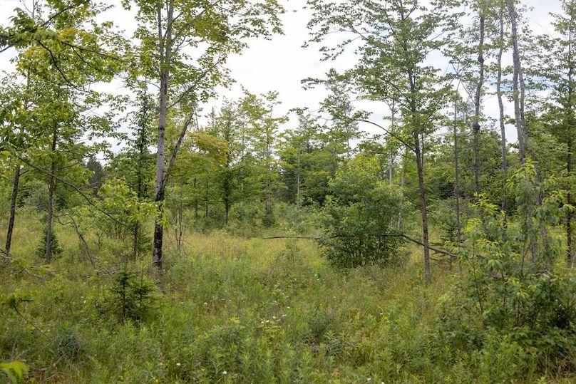 Mackinac 160 Leppiaho-21